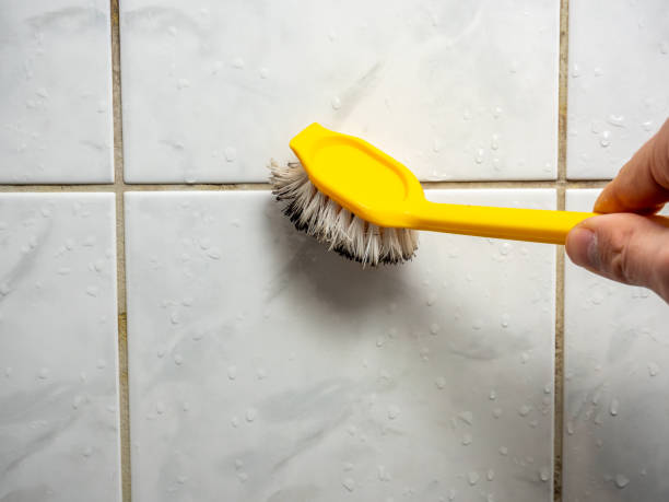 Best Emergency Mold Removal  in Reidville, SC